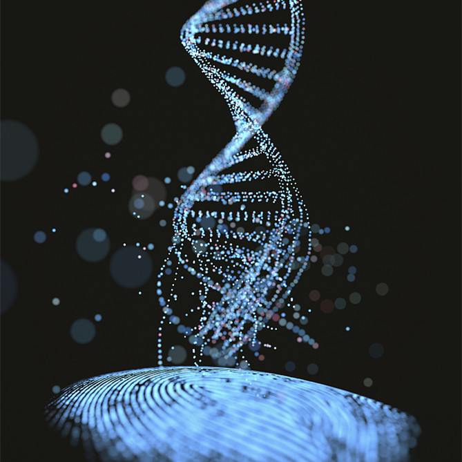 W020221116349685472899.jpg W020221116349685472899.jpg