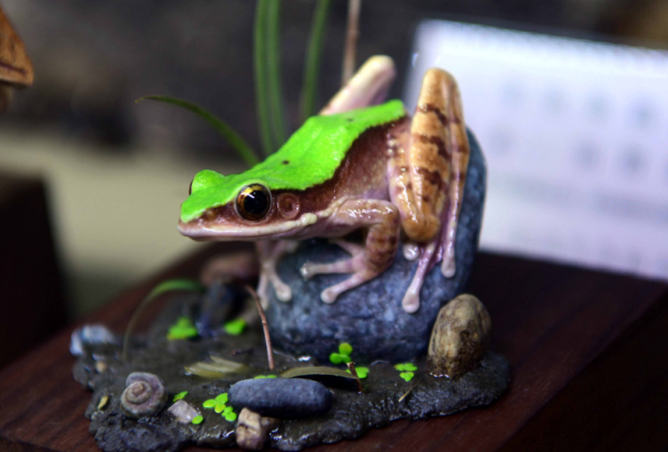 图片4.png 图片4.png