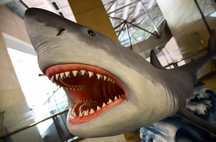 图片5.png 图片5.png