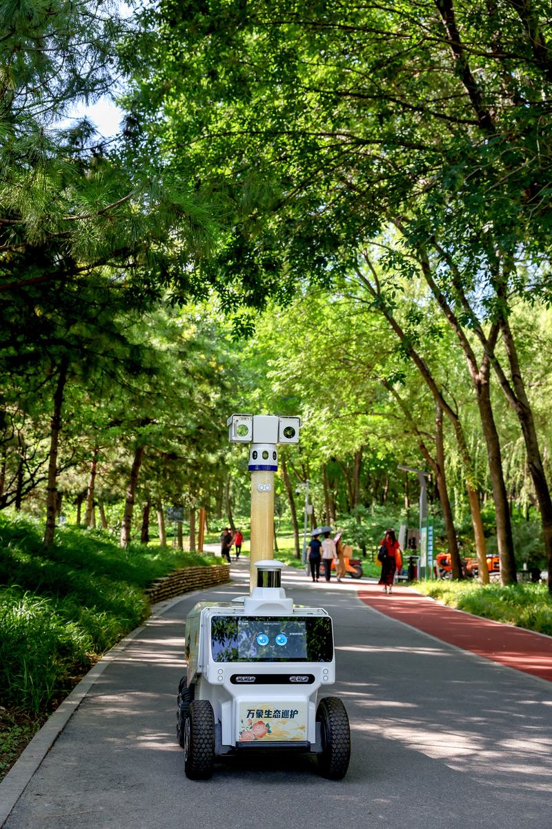 图片 3.png 图片 3.png