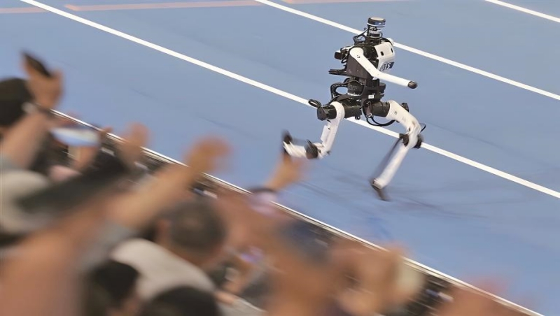 内容800.jpg