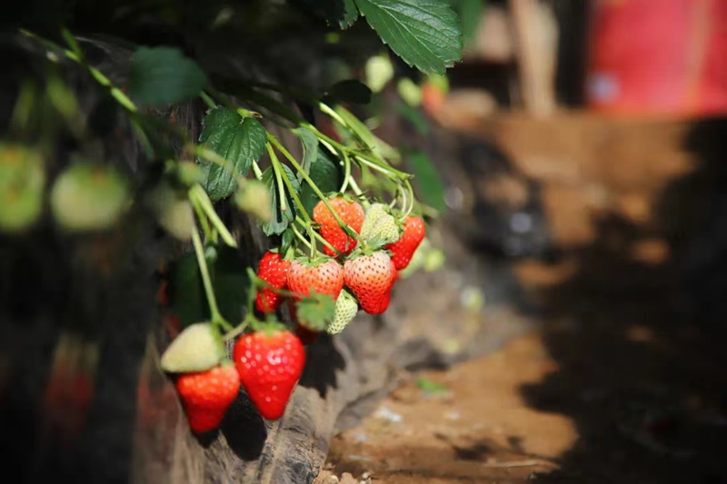 图片2.png 图片2.png