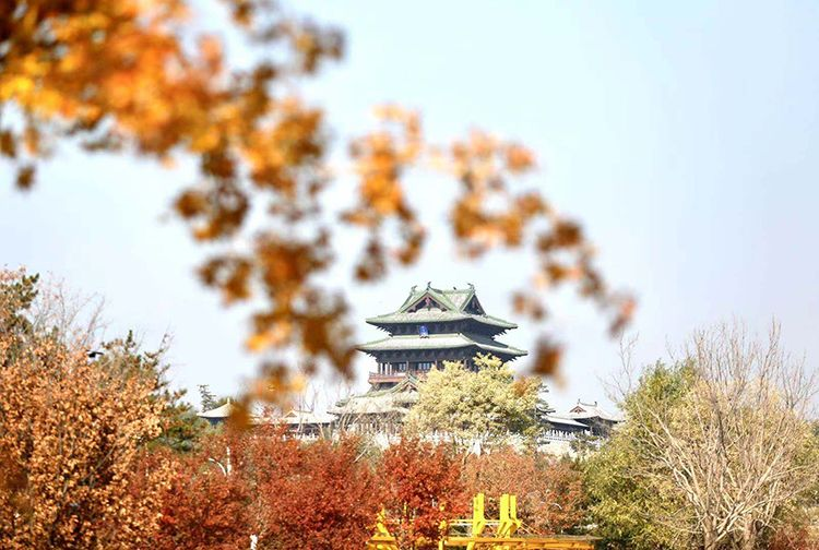 W020221009524465533581.png W020221009524465533581.png