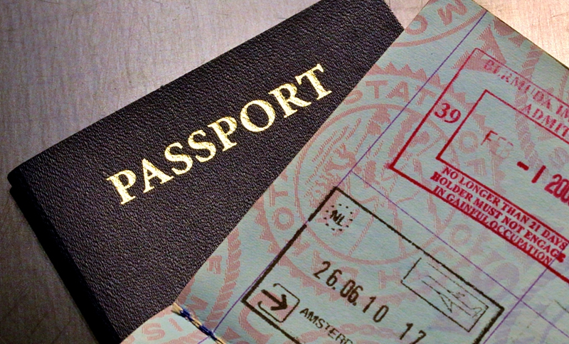 800 文内插图.jpg