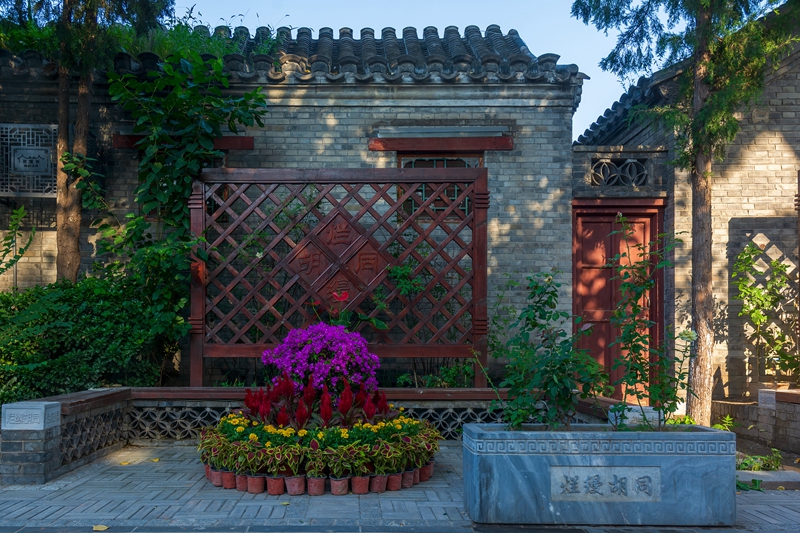 800 VCG.jpg 800 VCG.jpg