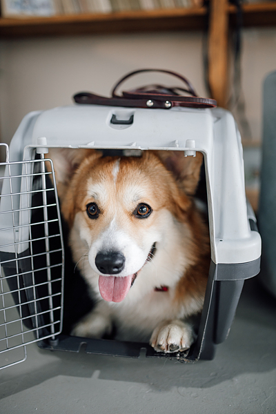 VCG 内容 600.jpg VCG 内容 600.jpg