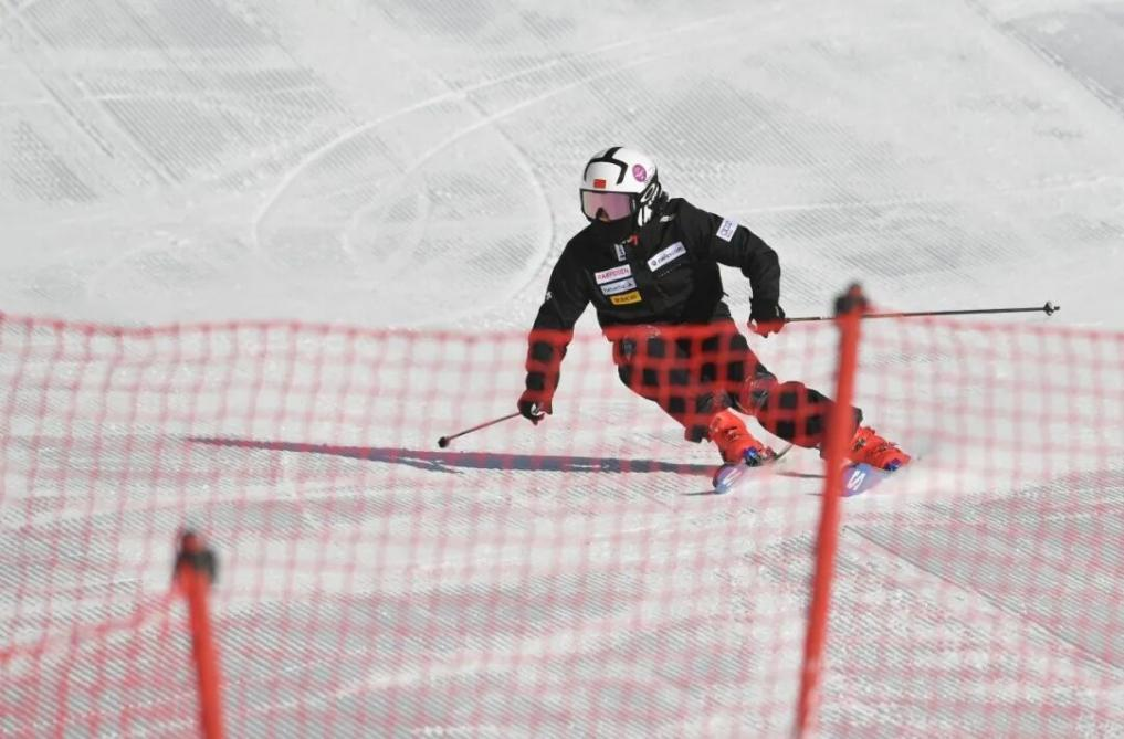 图片1.png 图片1.png