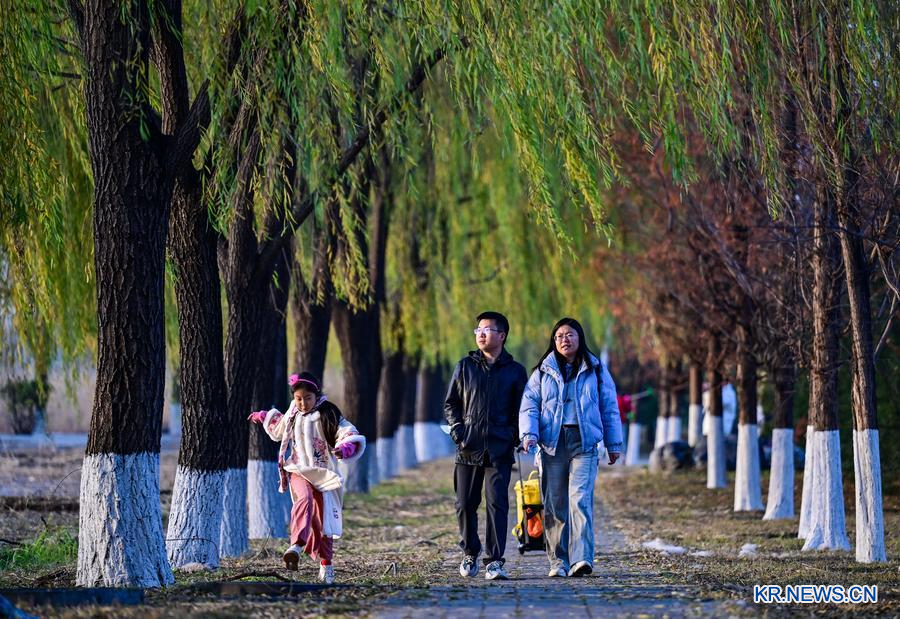 图片1.png 图片1.png