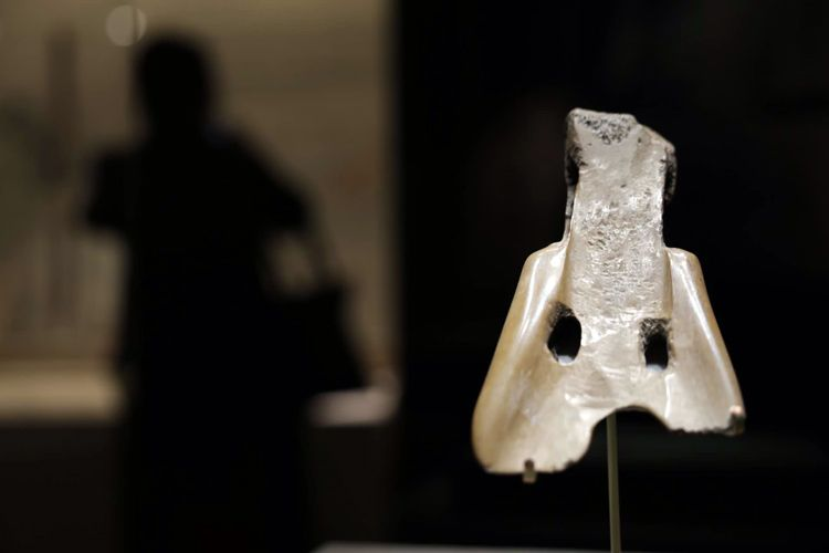 图片5.png 图片5.png