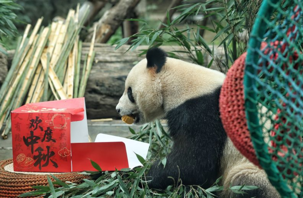 图片2.png 图片2.png