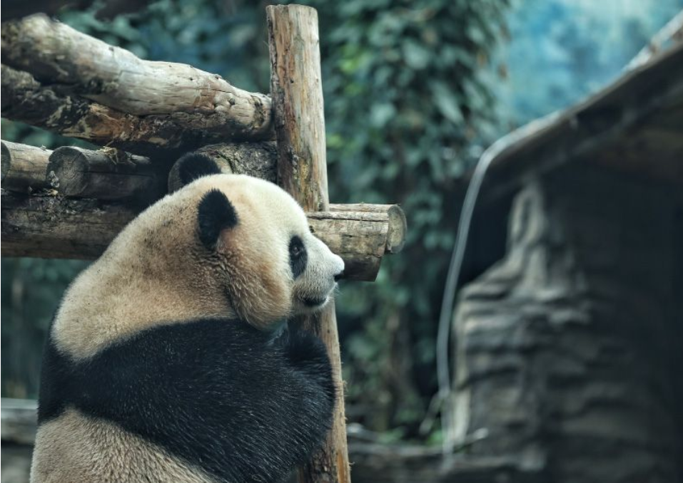 图片4.png 图片4.png