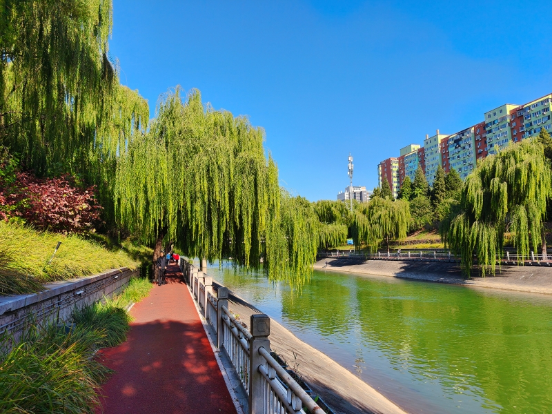 12.东南二环 VCG 800.jpg