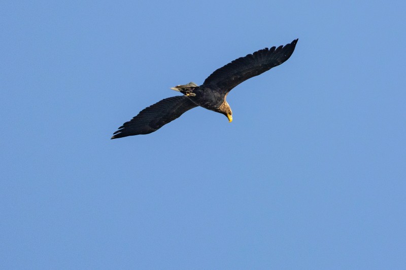 刘彤 摄于西峪水库4.jpg