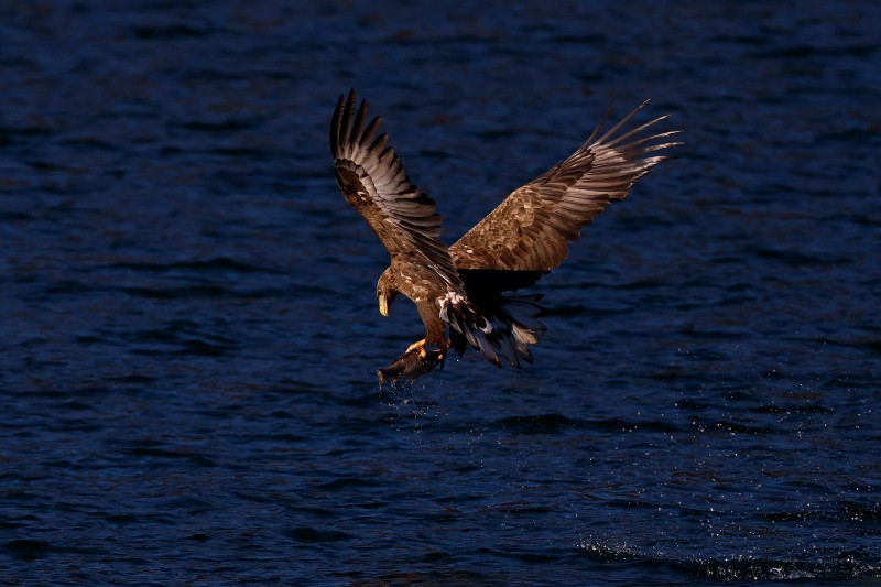 刘彤 摄于西峪水库6.jpg