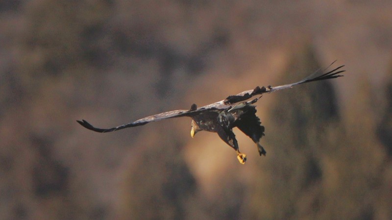 刘彤 摄于西峪水库12.jpg