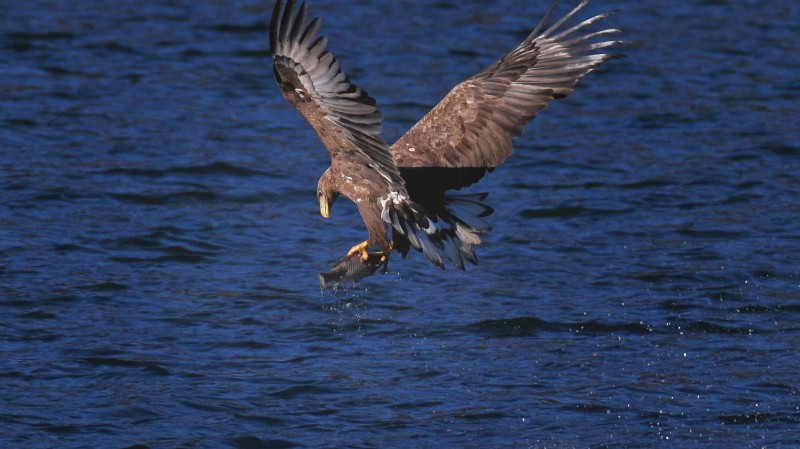 刘彤 摄于西峪水库14.jpg