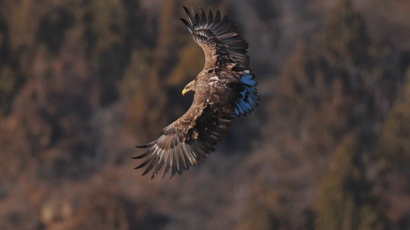 刘彤 摄于西峪水库15.jpg