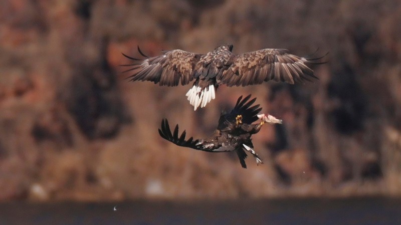 刘彤 摄于西峪水库22.jpg