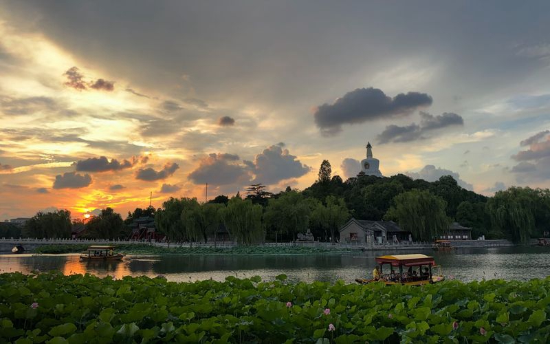 正文800(北京市公园管理中心供图).jpg 正文800(北京市公园管理中心供图).jpg
