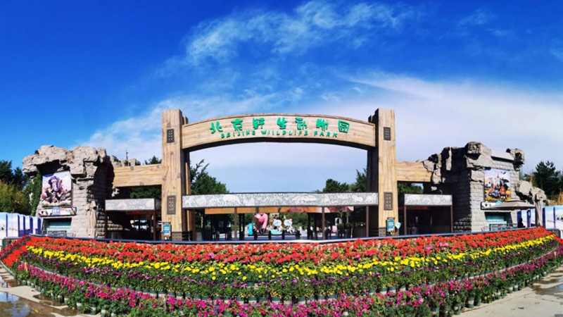 北京野生动物园1 800.png