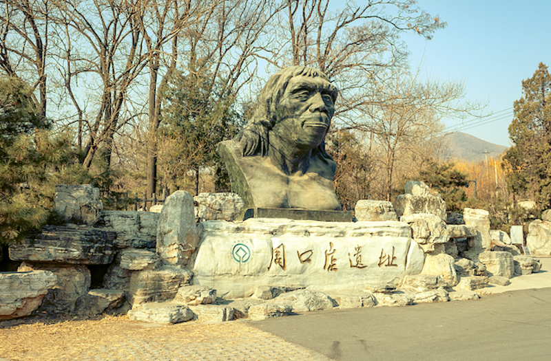 周口店800 VCG.png