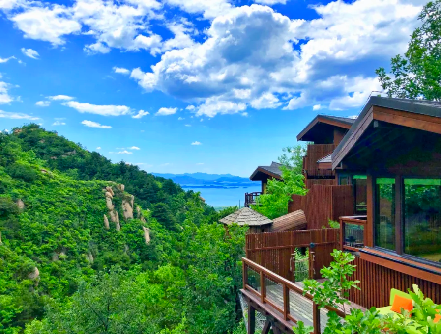 图片40.png 图片40.png