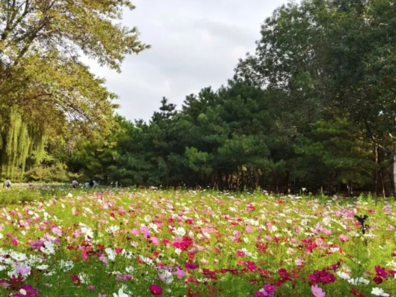 奥森.jpg 奥森.jpg