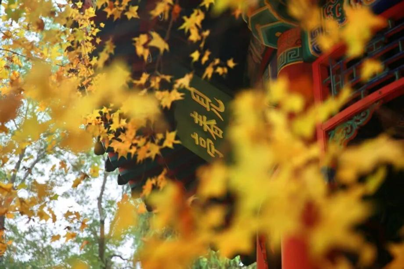 图片3-北海公园.png 图片3-北海公园.png