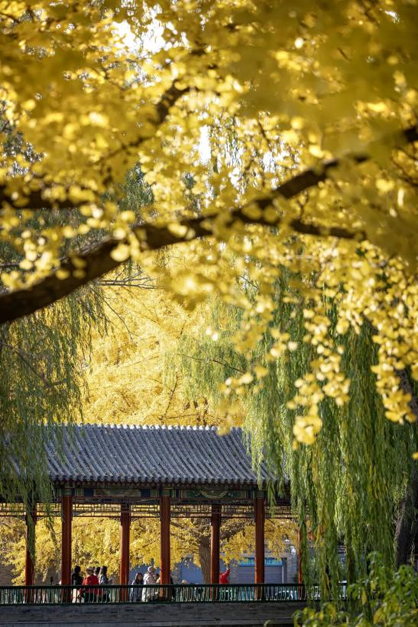 图片4-中山公园.png 图片4-中山公园.png