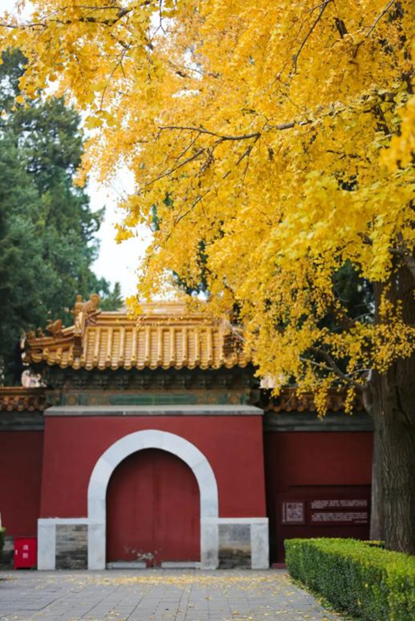 图片6-景山公园.png 图片6-景山公园.png