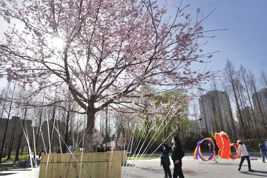 内文1 手动800.png