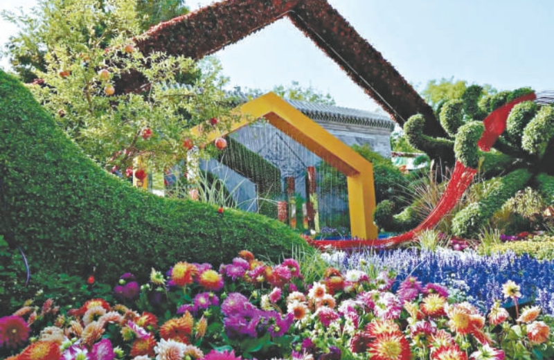 图片3 800.png 图片3 800.png