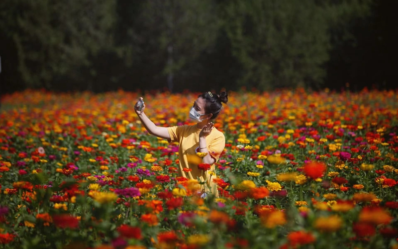 宽800 页内插图.jpg 宽800 页内插图.jpg