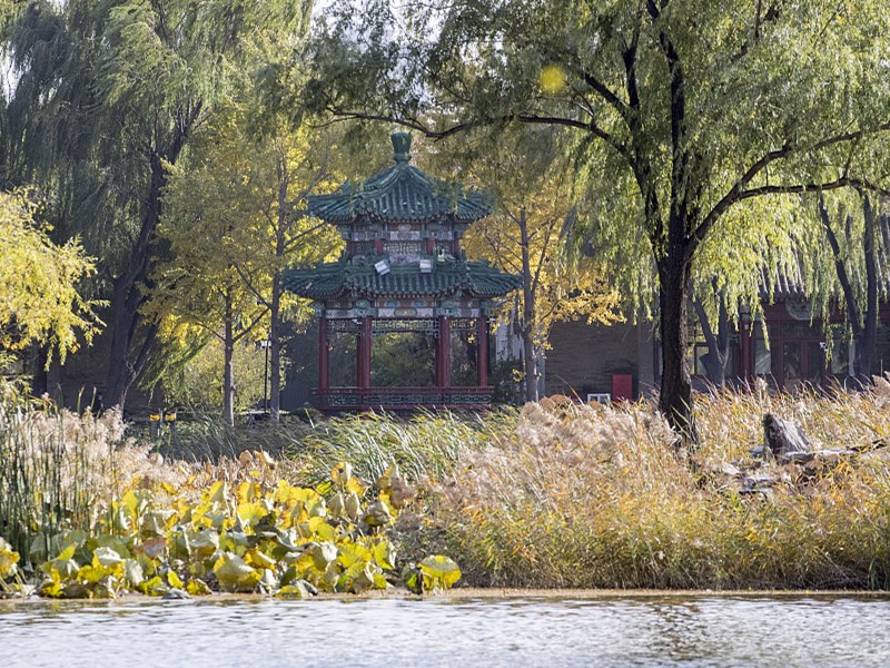 圆明园.jpg 圆明园.jpg