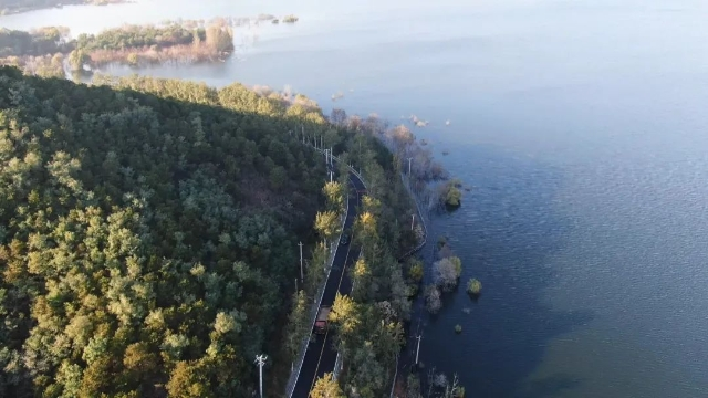 图片1.png 图片1.png