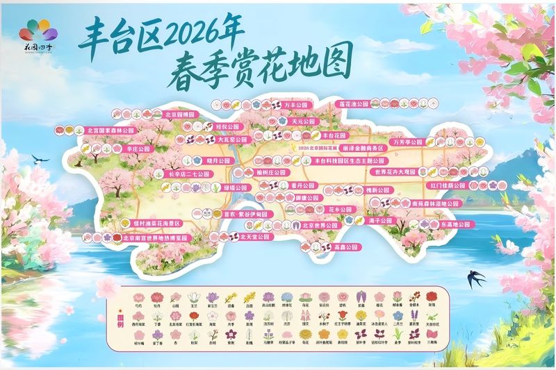 图片1 手动800.png 图片1 手动800.png