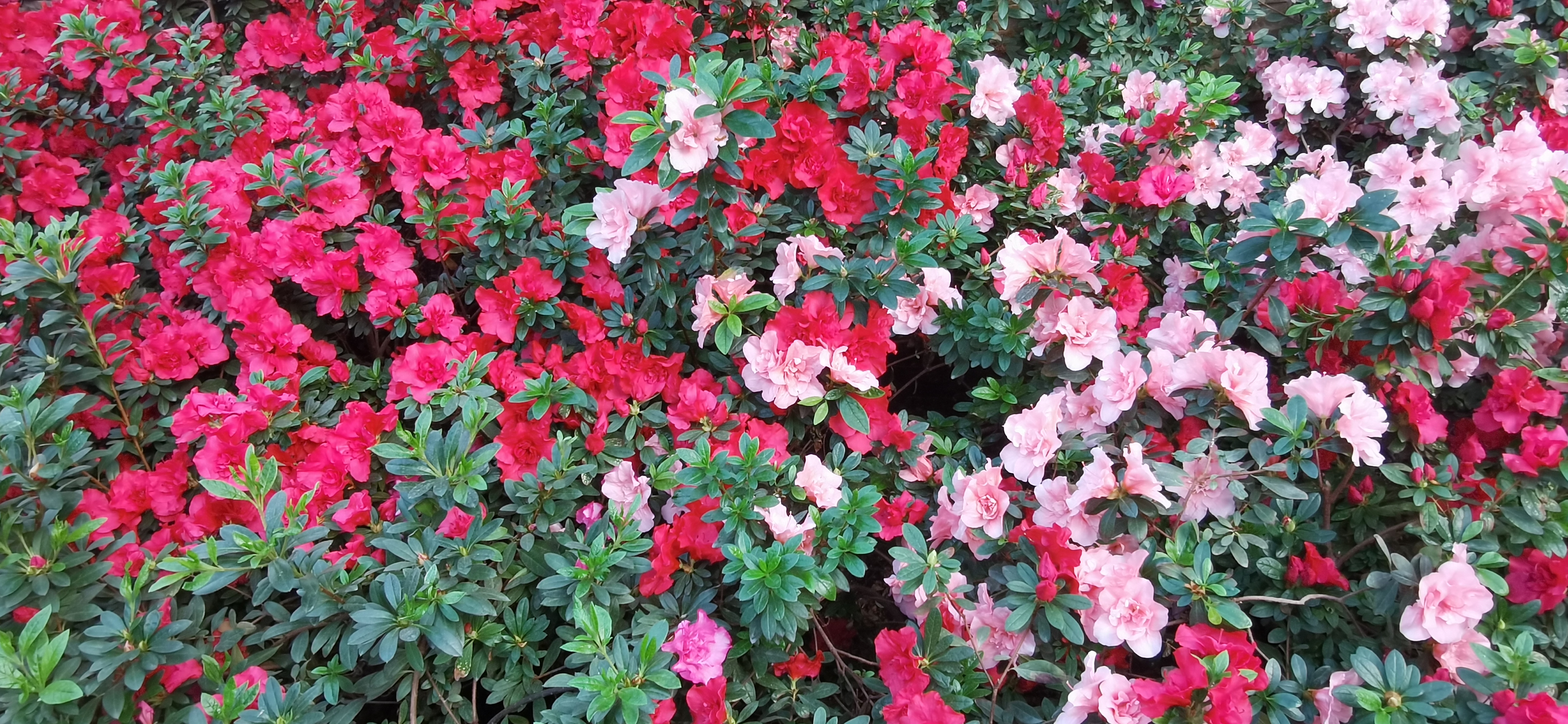 原图(图片来源为自拍).jpg 原图(图片来源为自拍).jpg