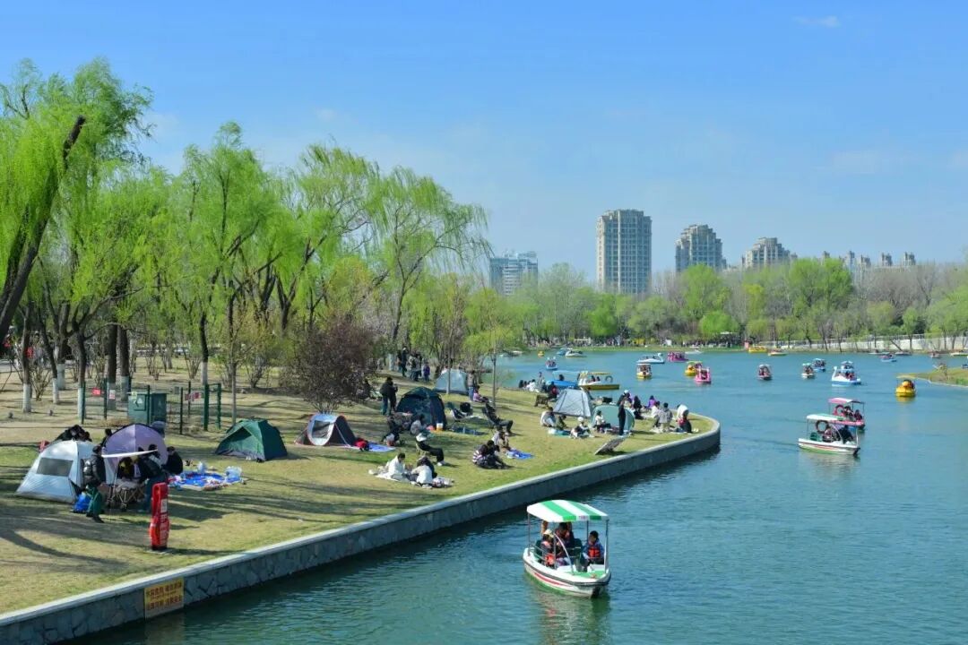 内容（来源：朝阳公园微信号）.jpg