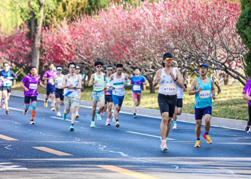内容页 来源:北京海淀.jpg 内容页 来源:北京海淀.jpg