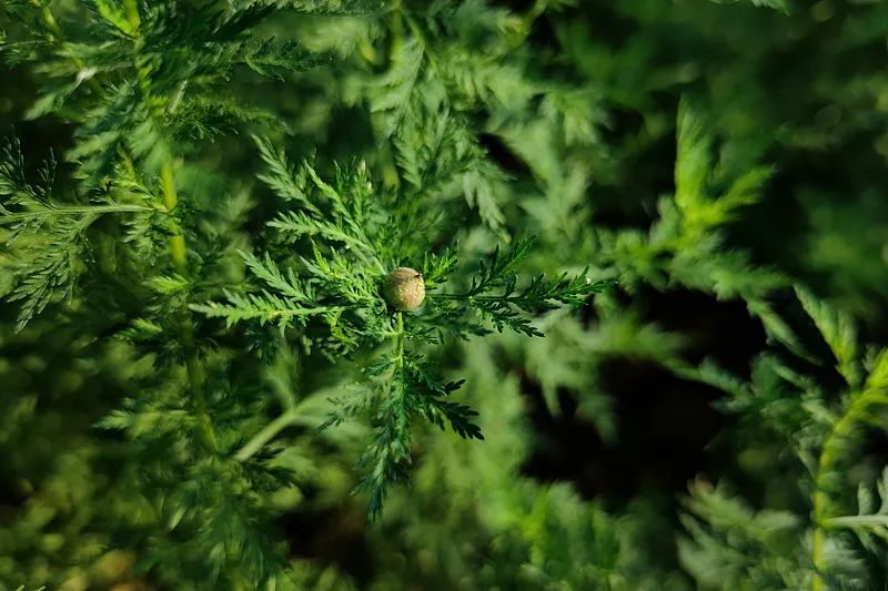 内容页 来源VCG.jpg 内容页 来源VCG.jpg