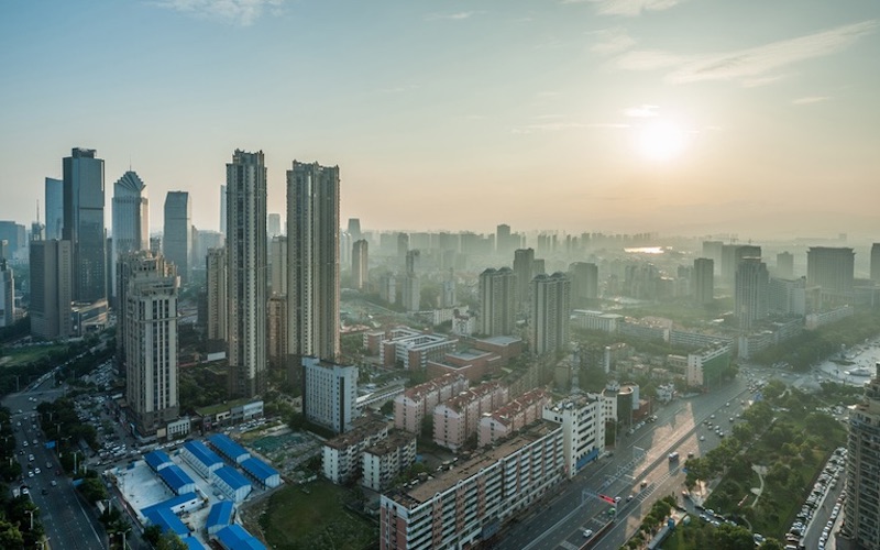 新京报 内容 800 .jpeg